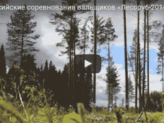 Соревнования вальщиков лесоруб 2014 Киров