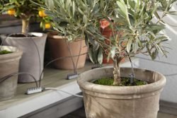 Gardena микрокапельный полив системы комплект базовый