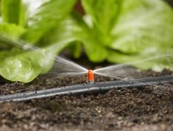 Gardena микродождеватель дождеватель система микрокапельный полив