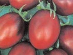 необычные сорта томатов фото Де Барао