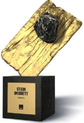Крепеж Fischer награда Особое доверие 2017 Stein im Brett ibau