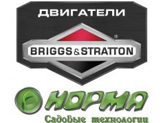 Норма Briggs Stratton импортер двигателей официальный Россия