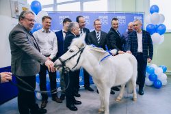 Pferd Пферд производство в Санкт-Петербурге