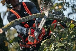 Husqvarna Чемпионат Европа арбористика 2019 European Tree Climbing Championships ETCC генеральный спонсор