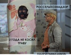 стоимость скосить траву борщевик