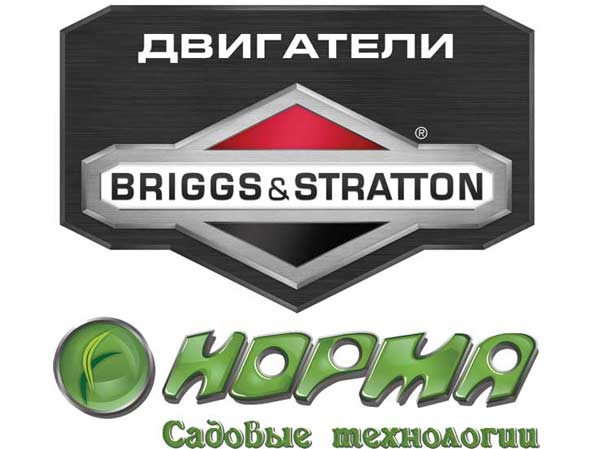Норма
