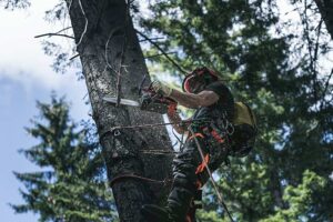 Husqvarna T540i XP одноручная аккумуляторная цепная пила Хускварна новинка 2020 новая