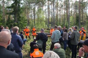 Husqvarna X Cut SP33G цепь пильная тест техника безопасность новая