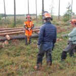 Husqvarna X Cut SP33G H30 цепь пильная 450 550XP сравнение новая старая бензопила