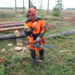 Husqvarna X Cut SP33G H30 цепь пильная 450 550XP сравнение новая старая бензопила