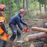 Husqvarna X Cut SP33G H30 цепь пильная 450 550XP сравнение новая старая бензопила