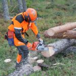 Husqvarna X Cut SP33G H30 цепь пильная 450 550XP сравнение новая старая бензопила