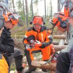 Husqvarna X Cut SP33G H30 цепь пильная 450 550XP сравнение новая старая бензопила