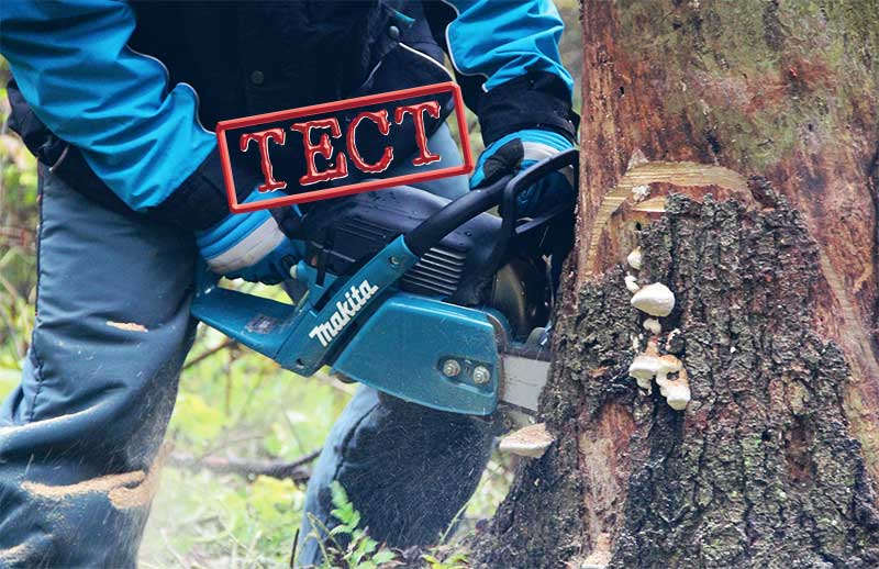 Makita
