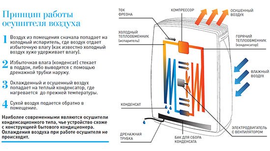 Как работает осушитель воздуха